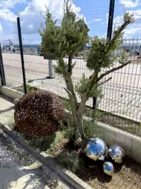 istanbul paslanmaz çelik küre globe 2